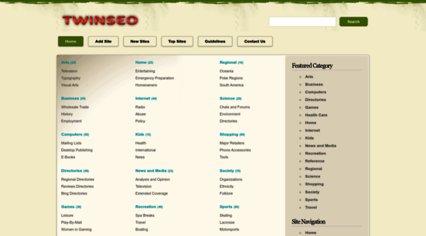 twinseo.com