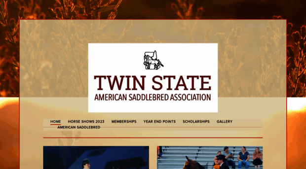 twinstateasb.com