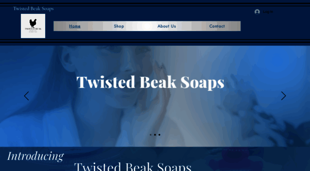 twistedbeaksoaps.com