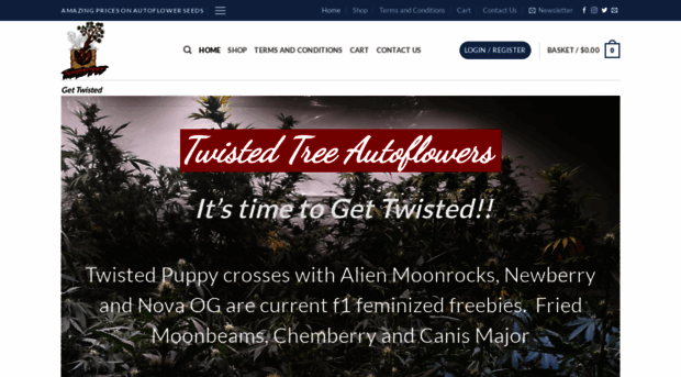 twistedtreeautoflowers.com