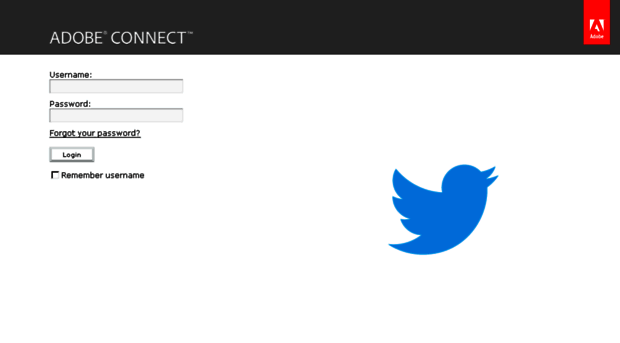 twitter.adobeconnect.com