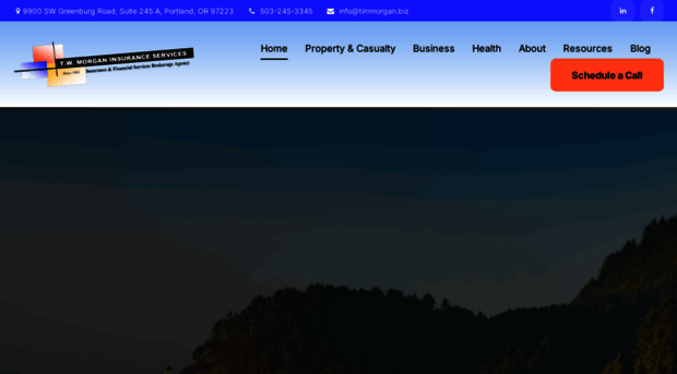 twmorganservices.com