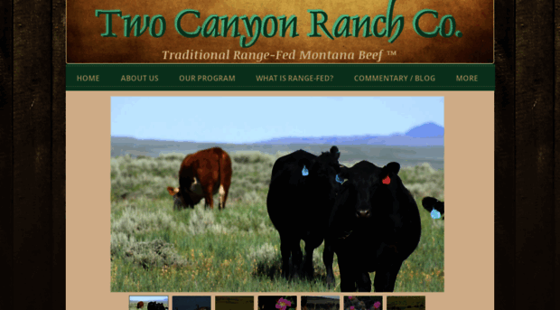 twocanyonranch.com