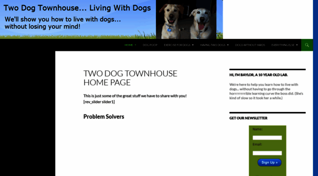 twodogtownhouse.com