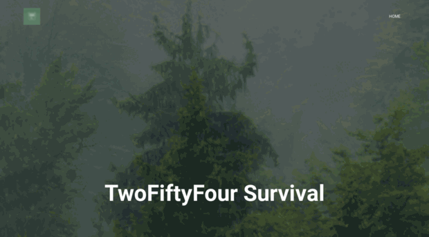 twofiftyfour.net