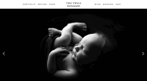 twotwigsphotography.com