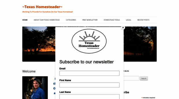 txhomesteader.com