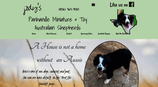 txpanhandleminiaussies.com