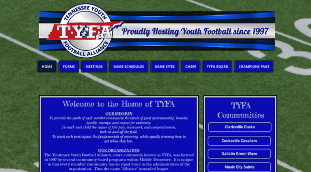 tyfa.org