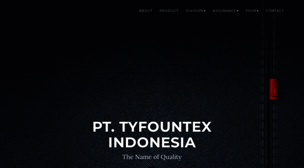 tyfountex.com