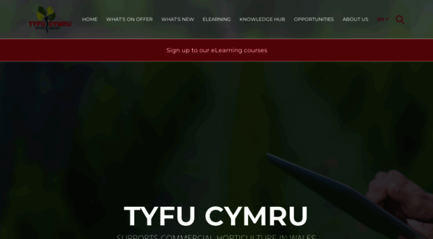 tyfucymru.co.uk