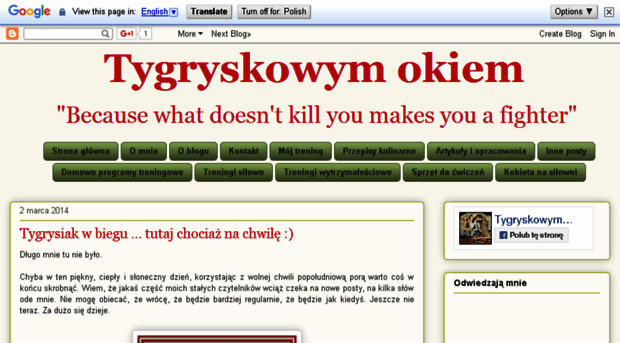 tygryskowym-okiem.blogspot.com