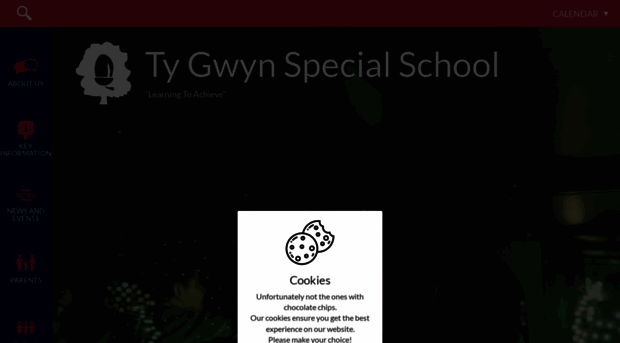 tygwynschool.com