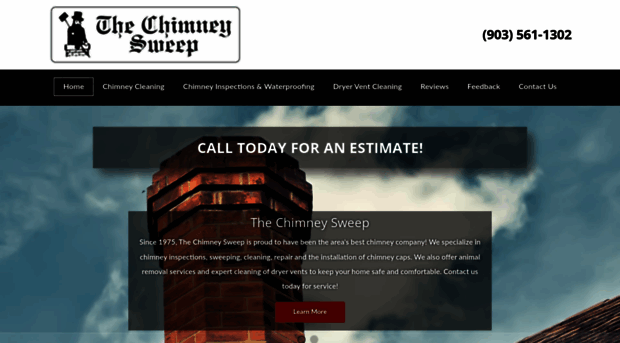 tylerchimneysweep.com