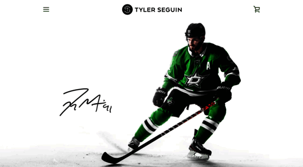 tylerseguin.com