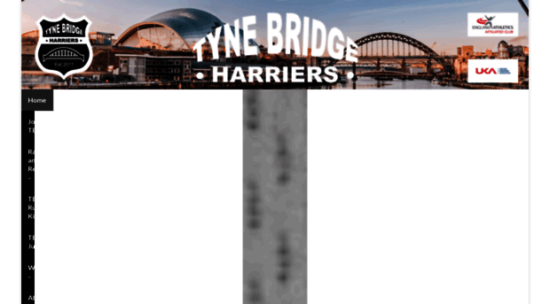 tynebridgeharriers.com