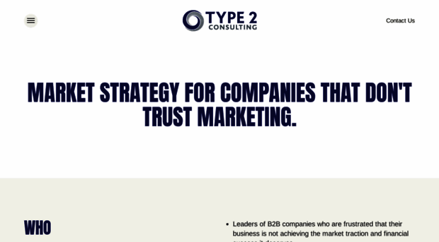 type2consulting.com