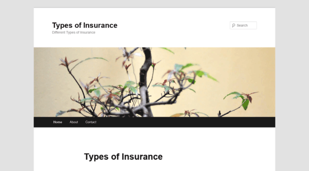 typesofinsurance.org