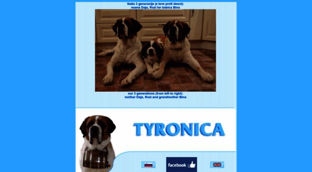 tyronica.si