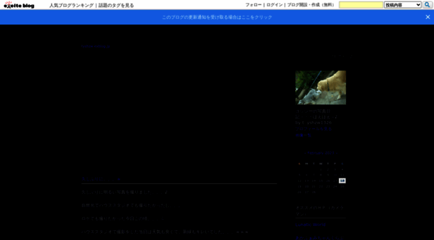 tyshzw.exblog.jp