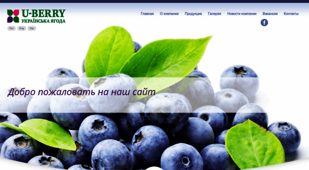 u-berry.com.ua