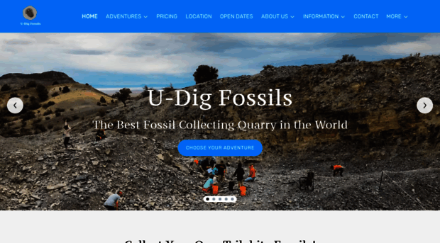 u-digfossils.com