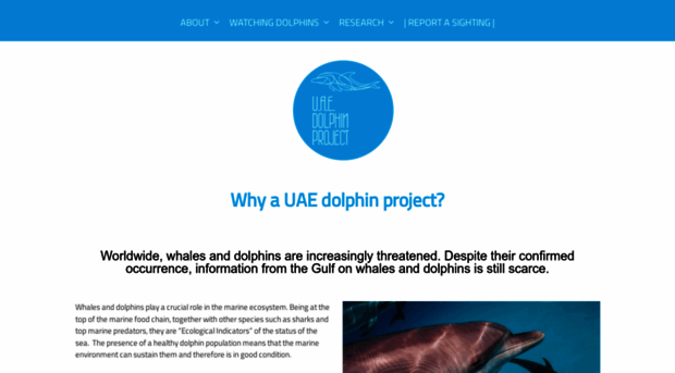 uaedolphinproject.org