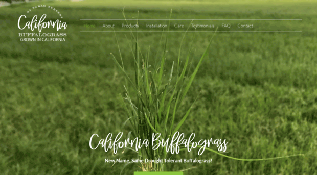 ucverdebuffalograss.com