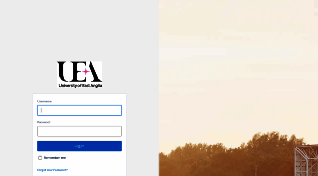 uea.my.salesforce.com