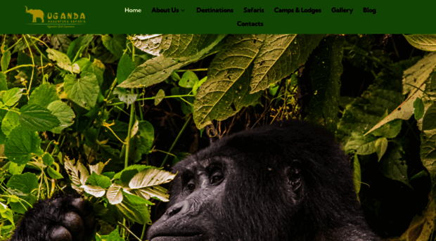 ugadventure-safaris.com