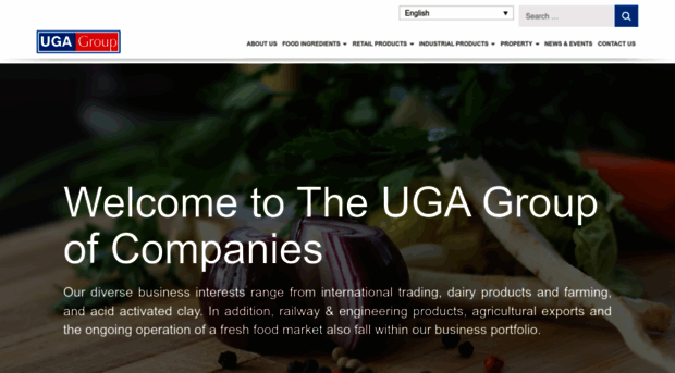 ugagroup.com