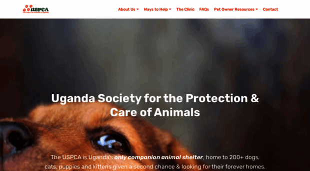 uganda-spca.org