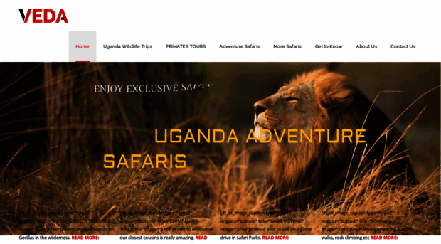 ugandaadventuresafaris.com