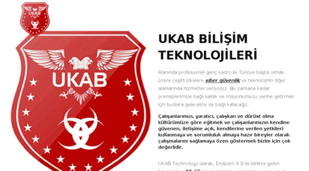 ukabbilisim.com