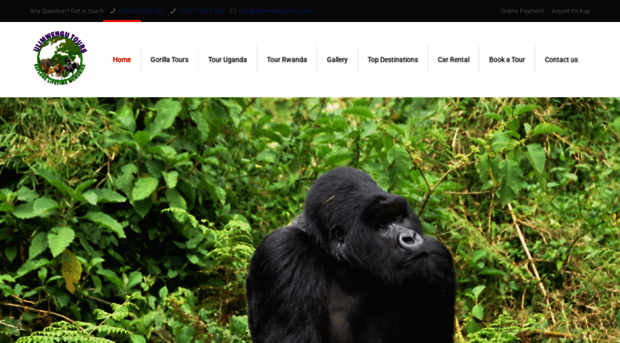 ulimwengutours.com