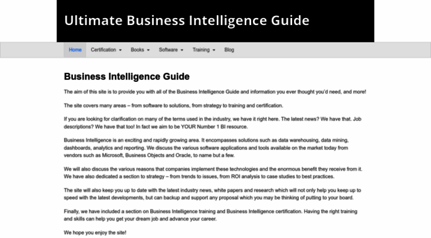 ultimate-business-intelligence-guide.com