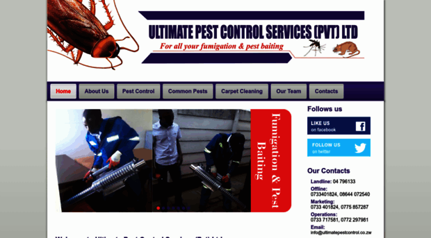 ultimatepestcontrol.co.zw