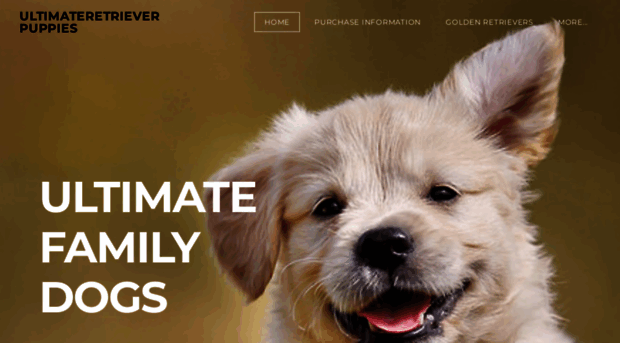 ultimateretrieverpuppies.com