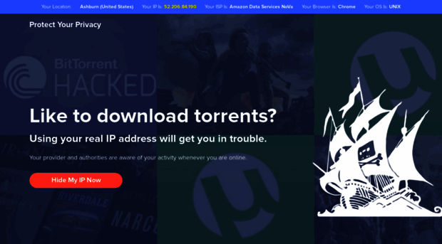 ultimatesurferprotector.com