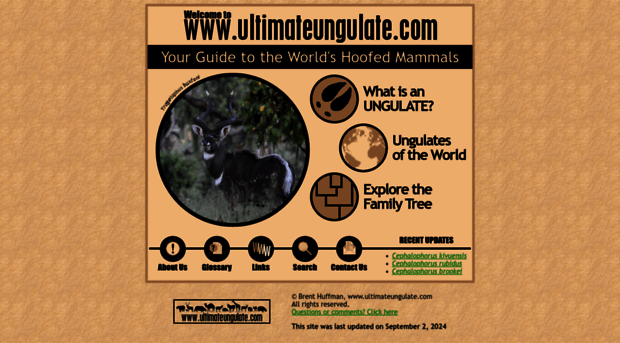 ultimateungulate.com