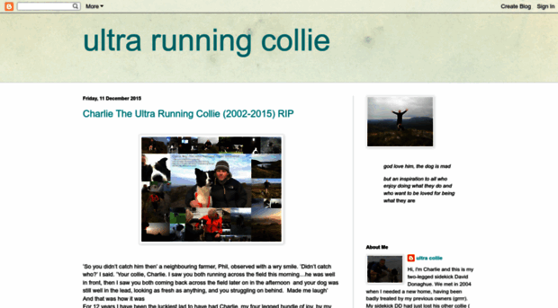 ultrarunningcollie.blogspot.com