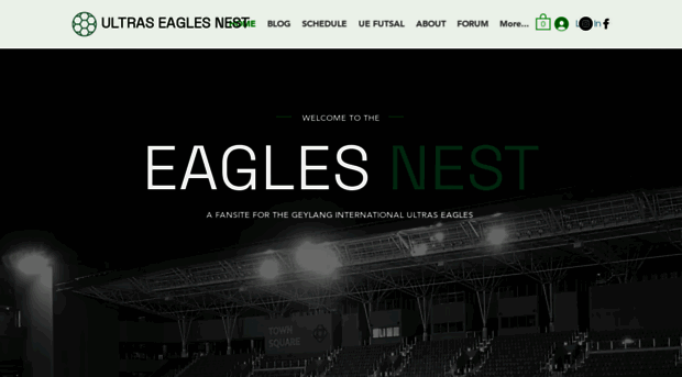 ultraseagles.sg