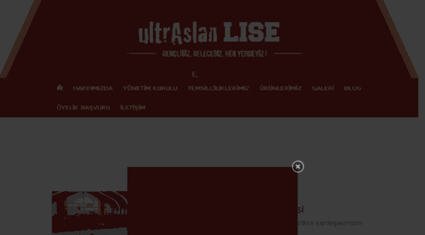 ultraslanlise.com