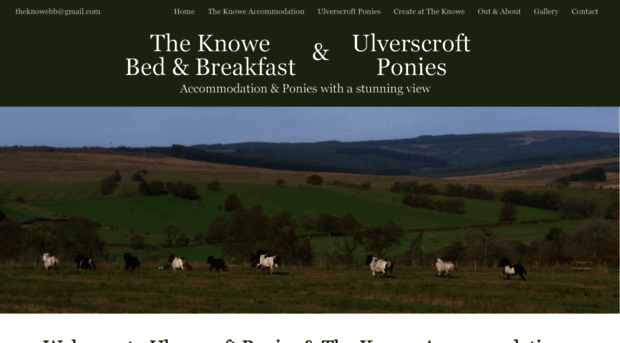 ulverscroftponies.co.uk