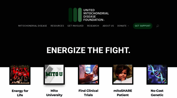 umdf.org