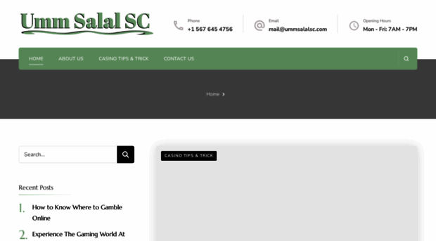 ummsalalsc.com