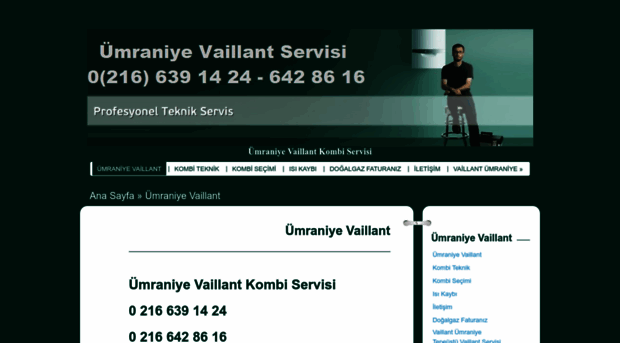 umraniyevaillantservis.com