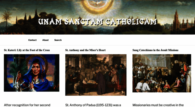 unamsanctamcatholicam.com