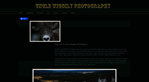 unclewiggilyphotography.com