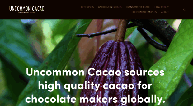 uncommoncacao.com